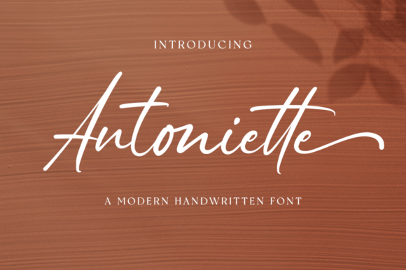 Antoniette: A Charming Font for Elegant Web Designs