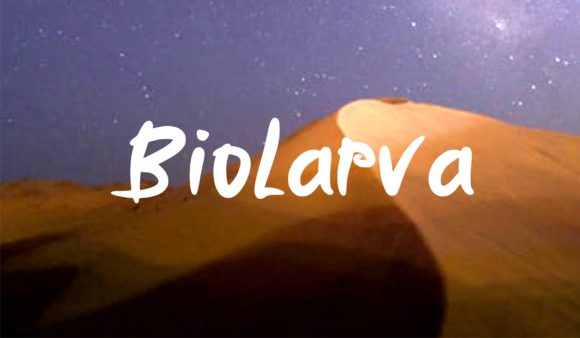 Biolarfa: A Versatile Display Font for Editorial Design