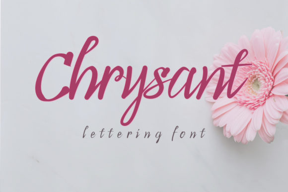 Chrysant: A Flowing Font for Elegant Craft Projects