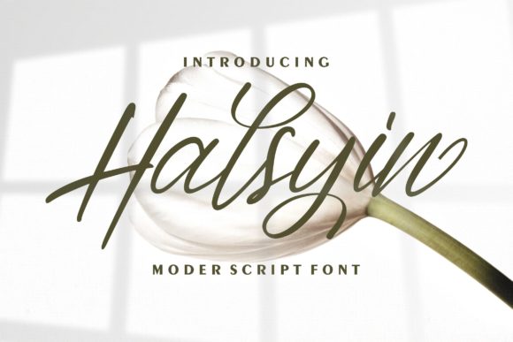 Discover the Charm of Halsyin: A Perfect Font for Makers