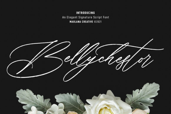 Discover the Elegance of Bellychestor: A Font for Makers