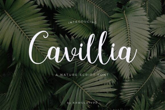 Elevate Your Editorial Design with Cavillia, the Elegant Script Font